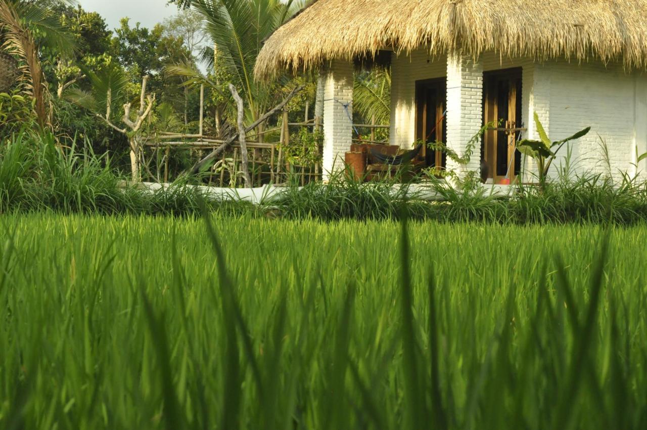 Mu Homestay Tetebatu Exterior photo