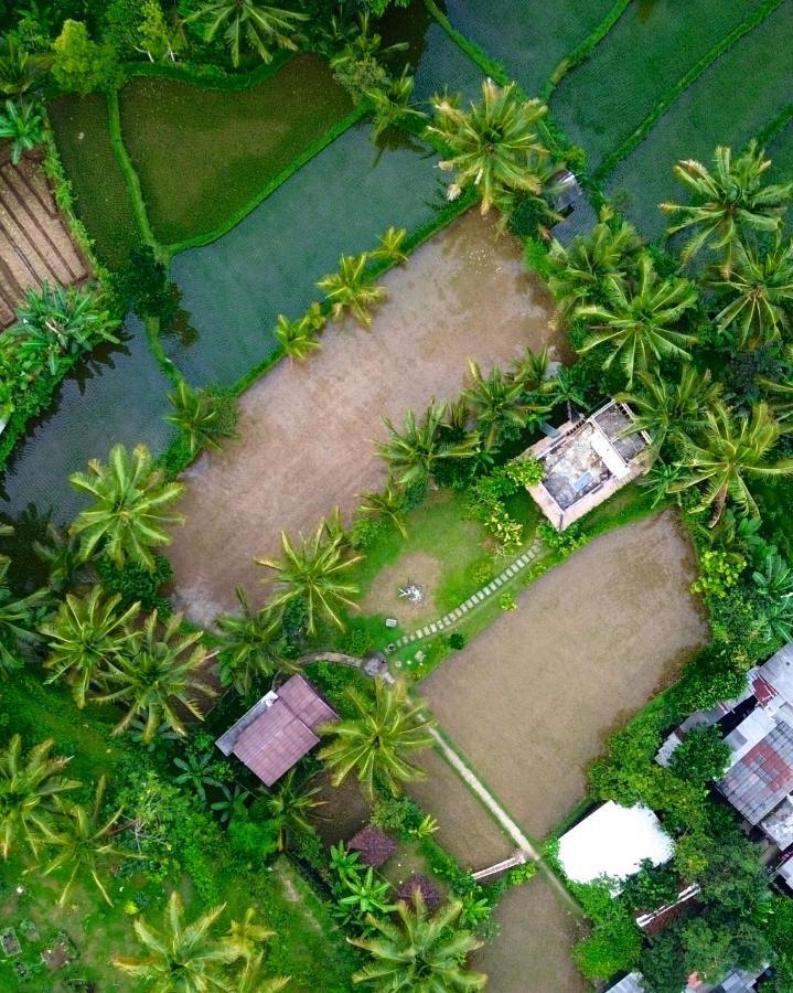 Mu Homestay Tetebatu Exterior photo